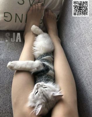 中国女特警_1080P在线视频观看