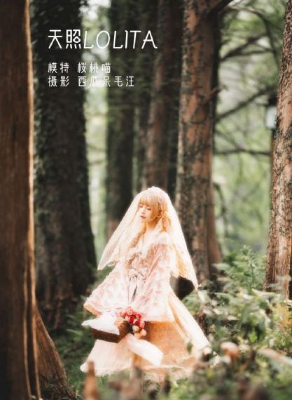 美丽的秘书_DVD动漫在线观看