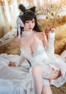 茶杯狐免费_4K在线观看视频